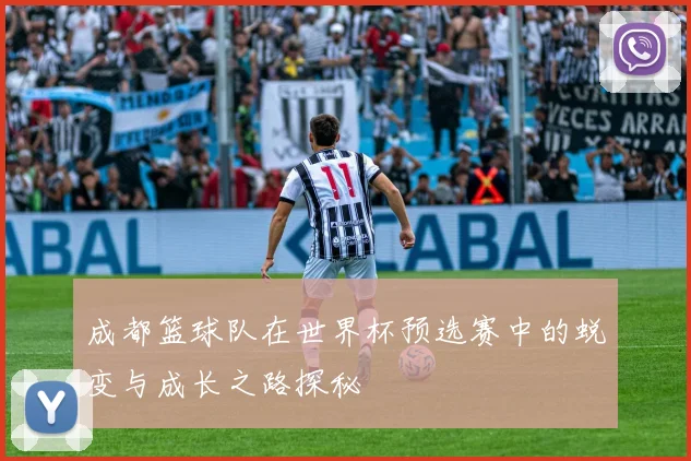 成都篮球队在世界杯预选赛中的蜕变与成长之路探秘