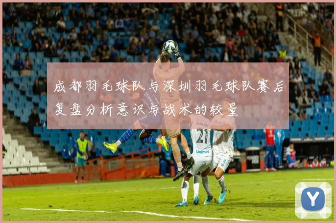 成都羽毛球队与深圳羽毛球队赛后复盘分析意识与战术的较量